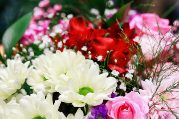 Romantic floral background with rose, carnation and gypsophila paniculata flowers.