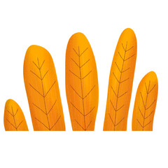 set of autumn leaves