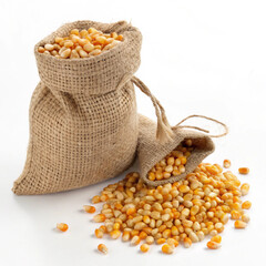Corn Kernels in Burlap Sack