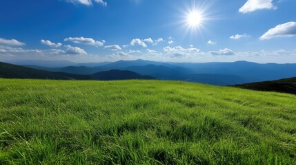 Obraz premium Lush mountain meadow bathed in sunlight
