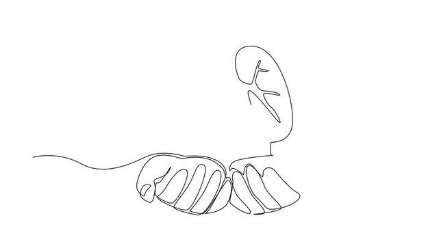 Self drawing animation of continuous one line drawing two open palms with lungs on top. Do the best to protect lung health. Breath lighter and healthier. World Tuberculosis Day. Full length animated