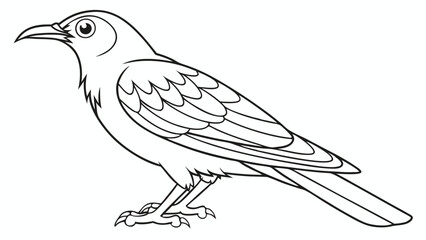 Obraz premium bird coloring page line art