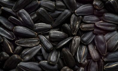 A close up of sunflower seeds