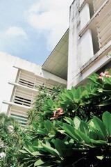 Fototapeta premium facade of a house