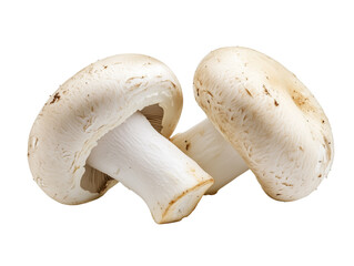White mushrooms, champignons, fresh produce, culinary ingredients, detailed texture PNG file isolated on transparent background ,cut out, clipping path, close up, high quality
