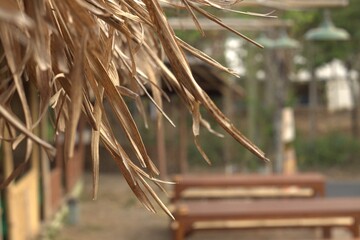 dry leaf roof for building aesthetics