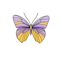 Pastel Yellow and Lavander Butterfly Illustration Delicate Wings, Nature Inspired Design