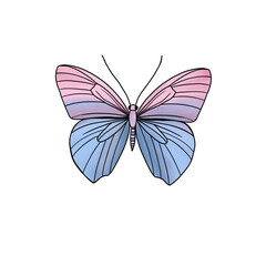 Pastel Pink and Blue Butterfly Illustration
