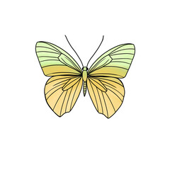 Pastel Yellow and Green Butterfly Illustration Delicate Wings, Nature Inspired Design