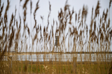 Ein entfernter Leuchtturm oder Turm durch hohes Gras oder Schilf, mit einem ruhigen Gewässer im Hintergrund. Die Szene vermittelt eine ruhige, natürliche Landschaft.
