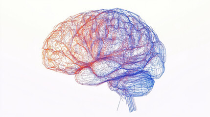digital brain illustration in thin marker lines, showcasing 3D effect