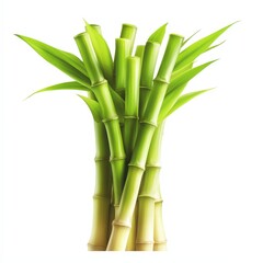 Obraz premium Tropical Bamboo Plants in a Lush Green Forest Landscape: Capture the Tranquility and Vibrance of Nature's Beauty