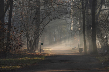 Mglisty poranek w Pszczynie, marzec 2025. © Elżbieta Kaps