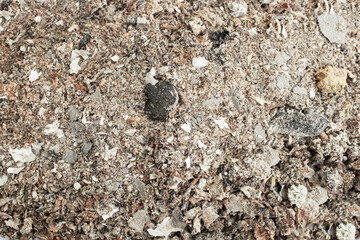 Wood burned ash   background, full frame soft focus close up