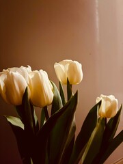 Naklejka premium yellow tulips on black background