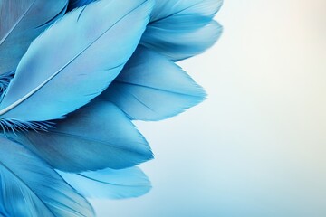 Naklejka premium Vibrant blue feathers arranged artistically on a soft background showcasing intricate details and textures