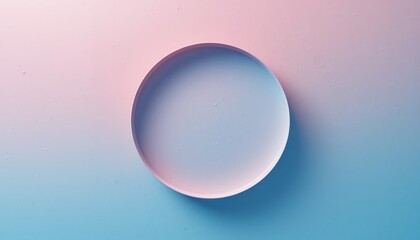 Creating a minimalist aesthetic with a circular plate studio setting photography calm environment direct view contemporary design concepts