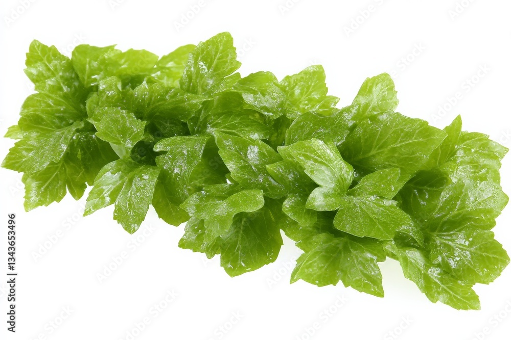 Poster fresh green lettuce leaves on a white background showcasing vibrant color and crisp texture for culi