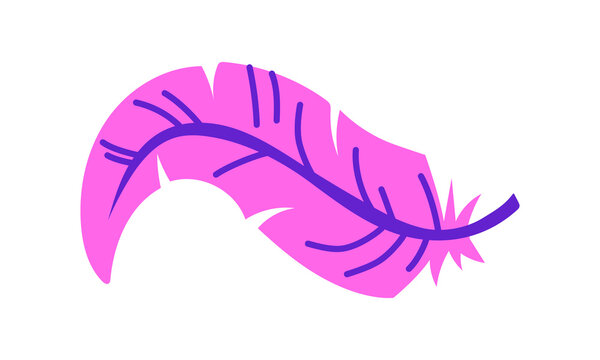 feather is purple. Isolated flat color illustration on white. For decoration of decorative elements, packages, accessories, posters and other goods related to fashion, nature or festive events.