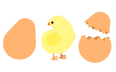 卵とヒヨコ