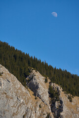 Rocky forested hillside with trees........