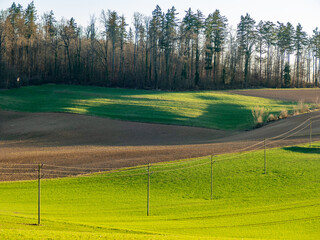 Alte Strommasten in Hügellandschaft