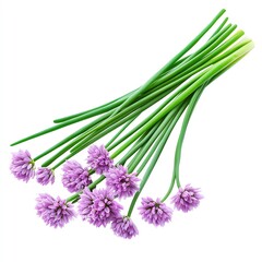Fototapeta premium Fresh chives bundle with purple flowers, perfect for culinary and gardening uses.
