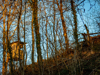 Hoch und Jägersitz am Waldrand