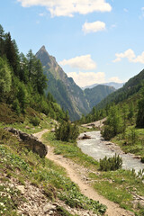 Idyllic view while walking on the trail along the Höhenbach river, stream, creek, E5 Trail, Alps, Holzgau, Austria