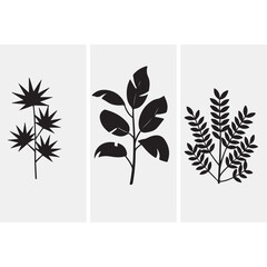 Tropical monstera vine vector