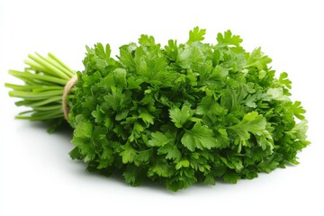 Obraz premium Fresh bunch of cilantro displayed on a white background ready for culinary use in various dishes