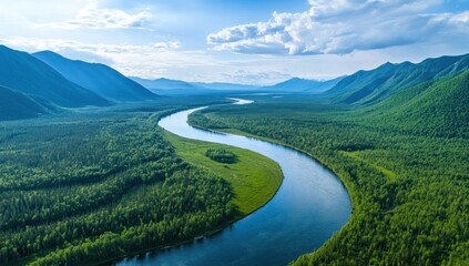 Obraz premium A Serene River Flows Through Lush Green Forested Mountains