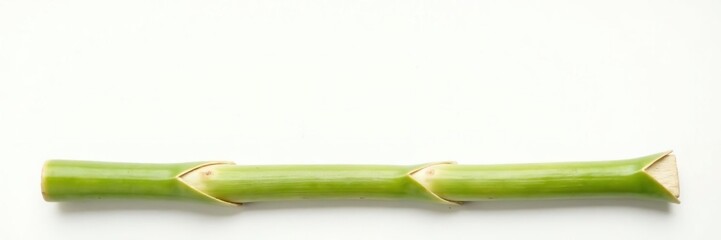 Fototapeta premium single stem of bamboo isolated on white surface, stalk, isolated, wood