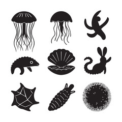 The ocean is home to some of the most unique and fascinating creatures, each with incredible adaptations for survival.