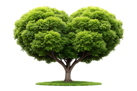 Heart Shaped Tree on transparent background 