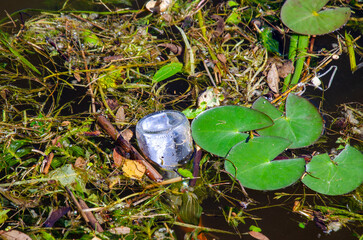Plastic Bottle Floating Amidst Aquatic Vegetation in Pond