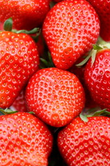 いちご　黒バック