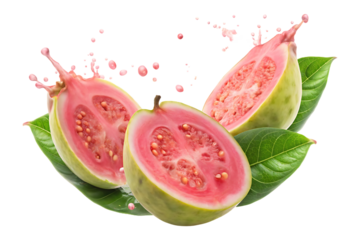 Pink guava fruit with juice splash on transparent background 
