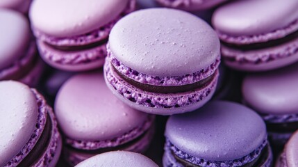 Obraz premium Colorful lavender macarons arranged together on a pastel background ready to delight dessert lovers