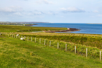 Duncansby Stacks, a breathtaking coastal wonder in Scotland, rise from the North Sea. Standing atop...