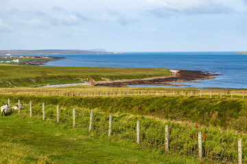 Duncansby Stacks, a breathtaking coastal wonder in Scotland, rise from the North Sea. Standing atop...