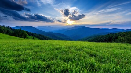 Fototapeta premium Vibrant green field stretches towards a sunlit mountain range under a partly cloudy sunset sky. Lush vegetation covers the foreground, with distant hills and a dramatic sky.