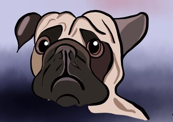 Cute pug dog head with sad expression. 