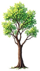 Fototapeta premium Isolated branches of a tree on white background, organic, forest, branches