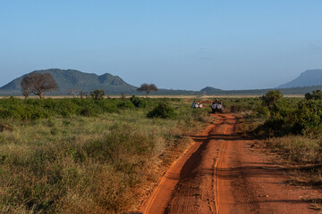 samochody z turystami na safari, Czerwona droga biegnąca przez sawannę w Park Narodowy Tsavo i rezerwat wzgórz Taita, Kenia, Afryka © Kamil_k2p