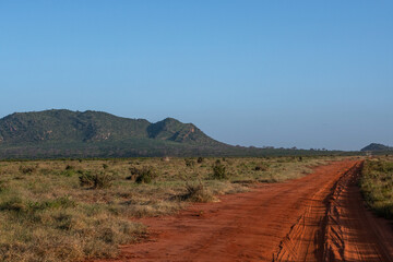 samochody z turystami na safari, Czerwona droga biegnąca przez sawannę w Park Narodowy Tsavo i rezerwat wzgórz Taita, Kenia, Afryka