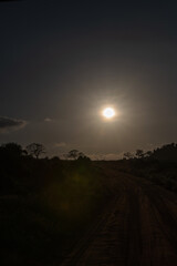 koniec dnia, słońce ostatnimi promieniami oświetla Park Narodowy Tsavo i rezerwat wzgórz Taita, Kenia, Afryka © Kamil_k2p