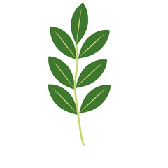 Illustration of green leaves with branches 
