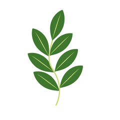 Illustration of green leaves with branches 
