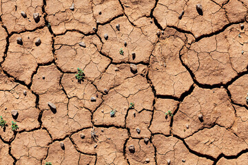 Dry soil in the sahara desert
